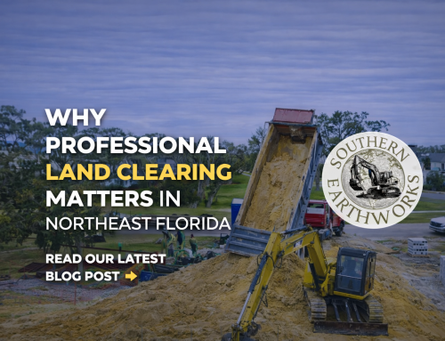 Why Professional Land Clearing Matters in Northeast Florida 