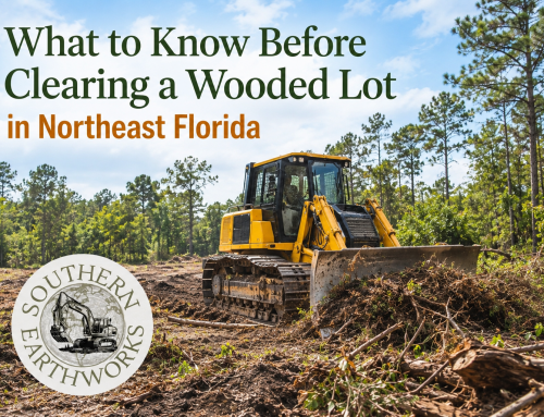 What to Know Before Clearing a Wooded Lot in Northeast Florida